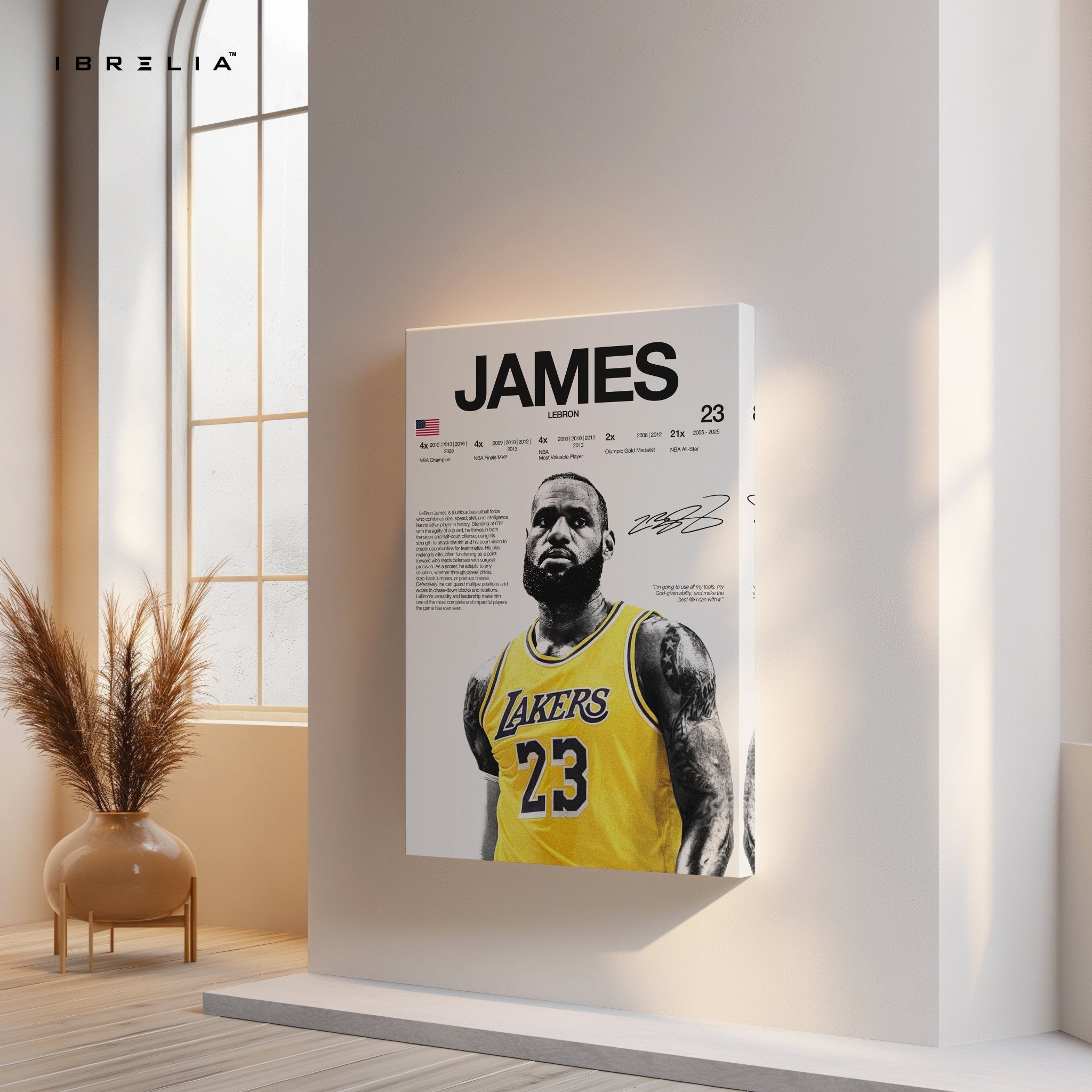 LeBron James “The King” – Lakers 4K Ultra Wrap Frame Wall Art in Pakistan | IBRELIA™ - IBRELIA