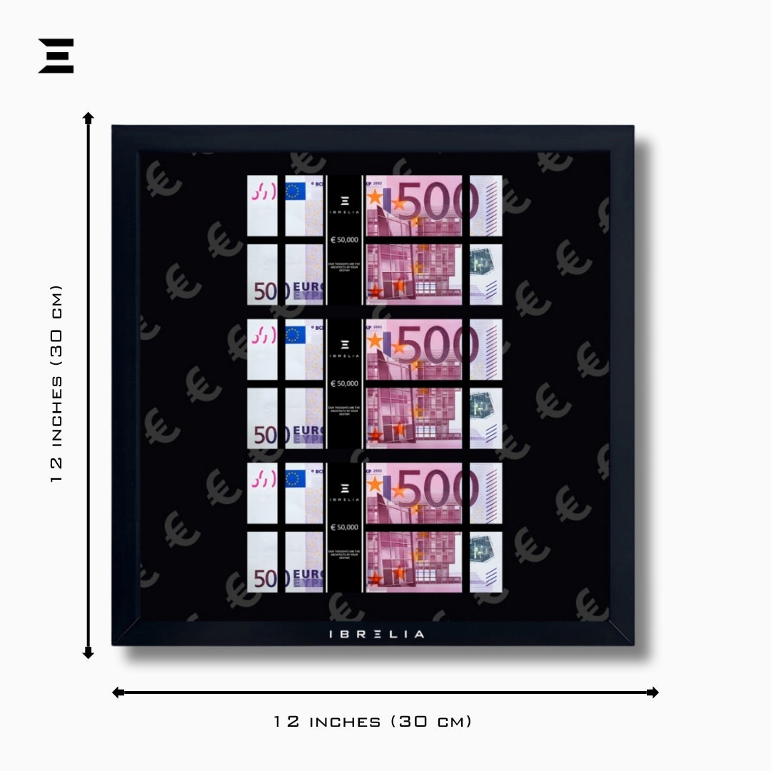 IBRELIA™ 3D Euro Money Frame – €500 Stacks | Premium 12x12 Luxury Acrylic Display Frame