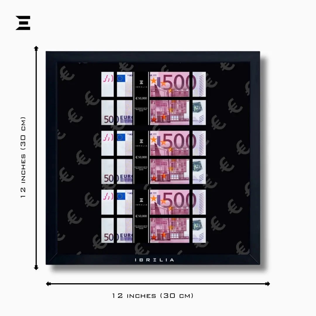 IBRELIA™ 3D Euro Money Frame – €500 Stacks | Premium 12x12 Luxury Acrylic Display Frame IBRELIA
