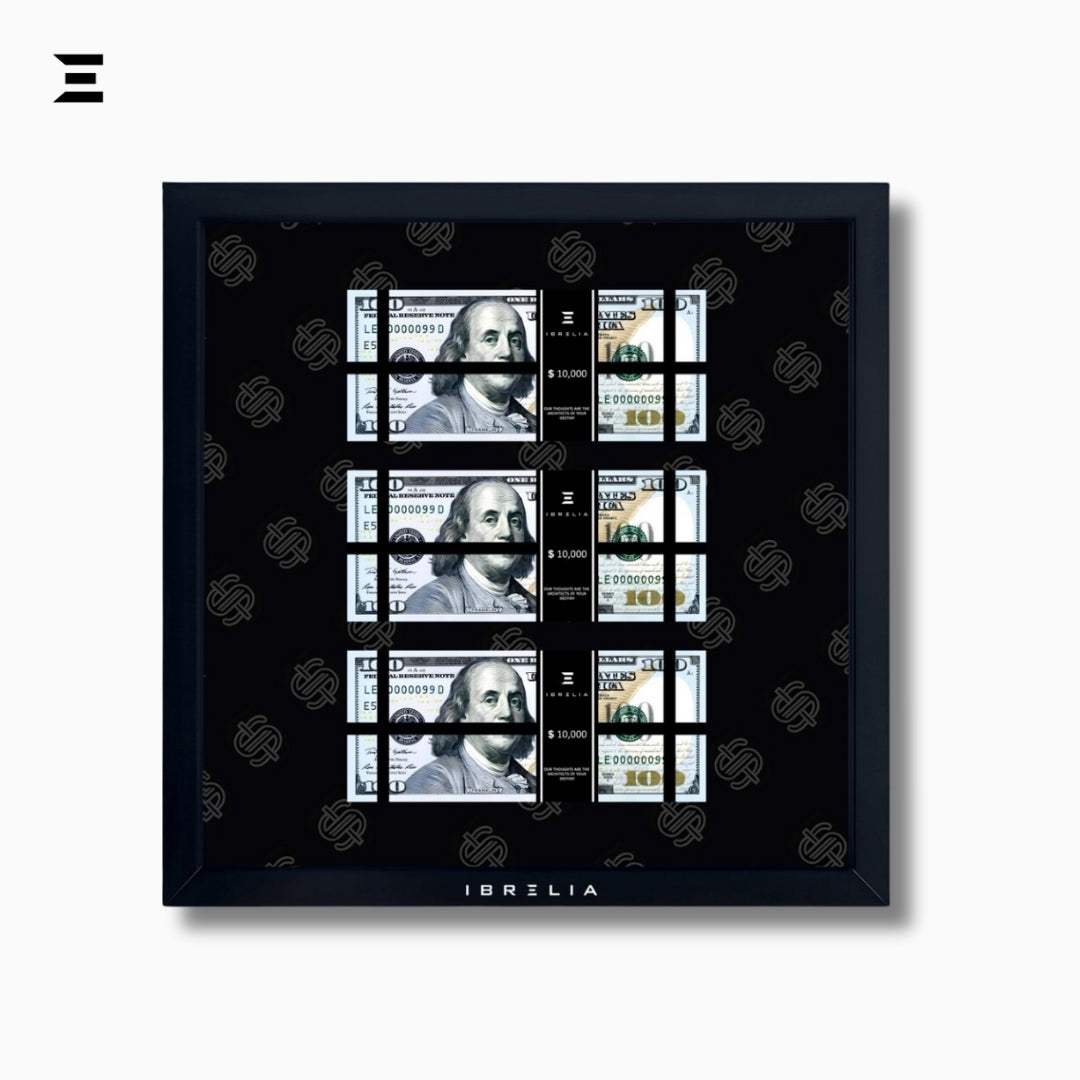 IBRELIA™ 3D USD Money Frame – $100 Stacks | Premium 12x12 Luxury Acrylic Display Frame IBRELIA