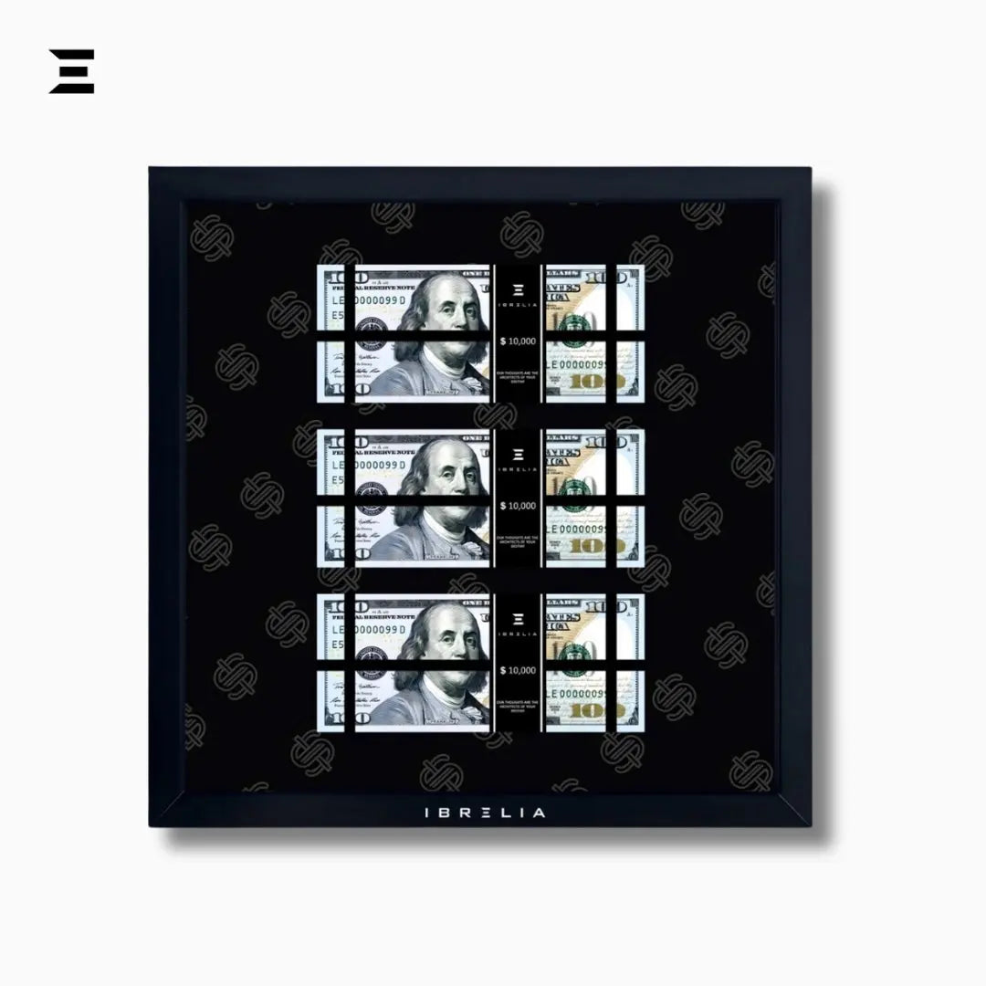 IBRELIA™ 3D USD Money Frame – $100 Stacks | Premium 12x12 Luxury Acrylic Display Frame IBRELIA