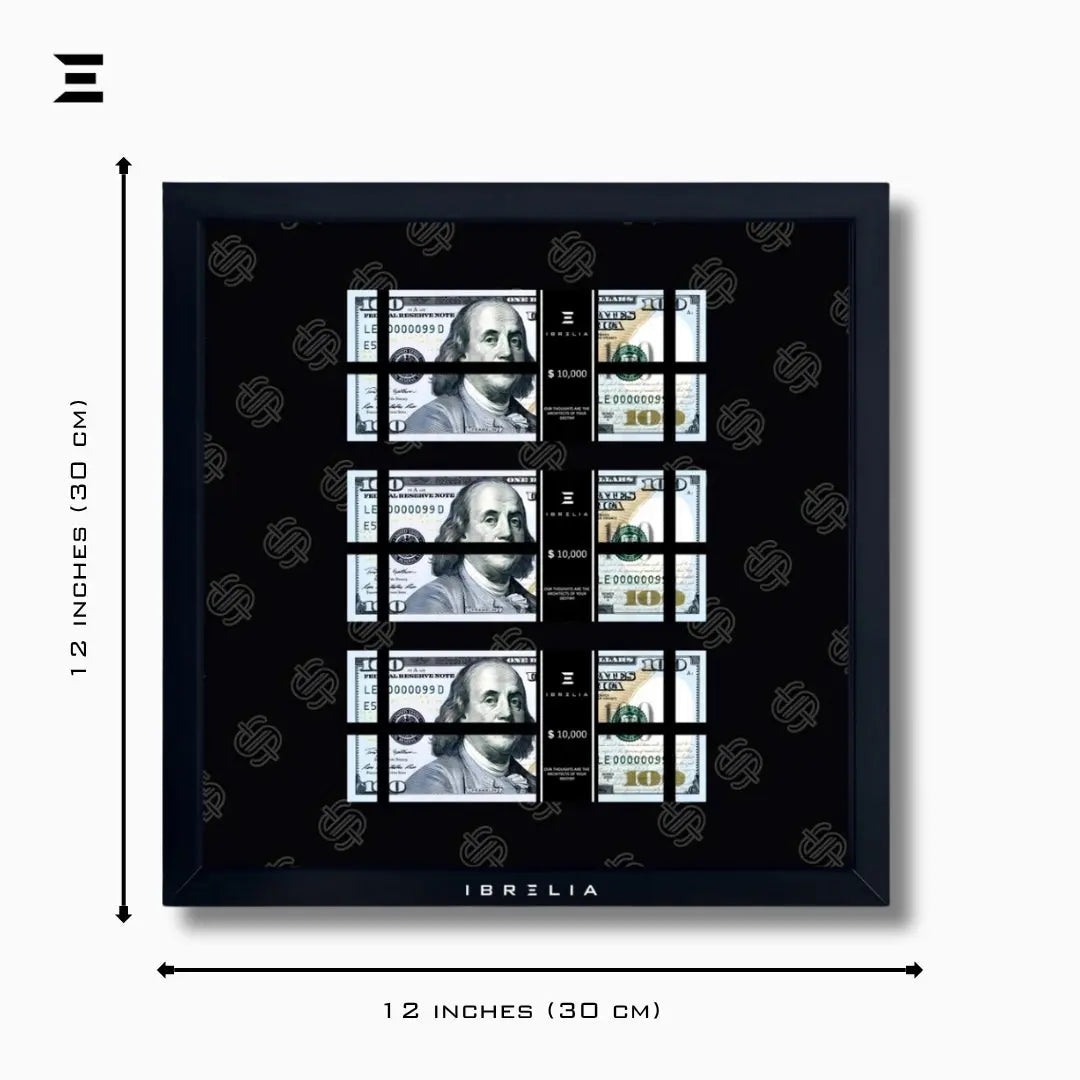 IBRELIA™ 3D USD Money Frame – $100 Stacks | Premium 12x12 Luxury Acrylic Display Frame IBRELIA