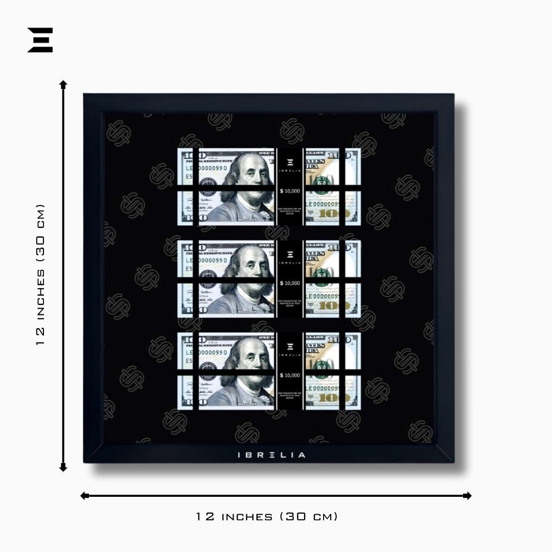 IBRELIA™ 3D USD Money Frame – $100 Stacks | Premium 12x12 Luxury Acrylic Display Frame IBRELIA