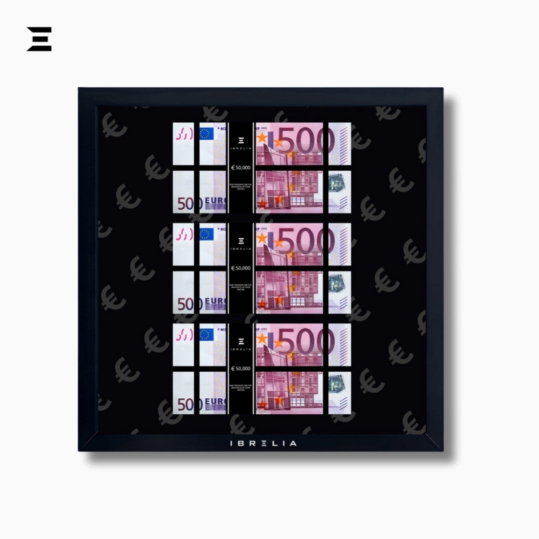 IBRELIA™ 3D Euro Money Frame – €500 Stacks | Premium 12x12 Luxury Acrylic Display Frame