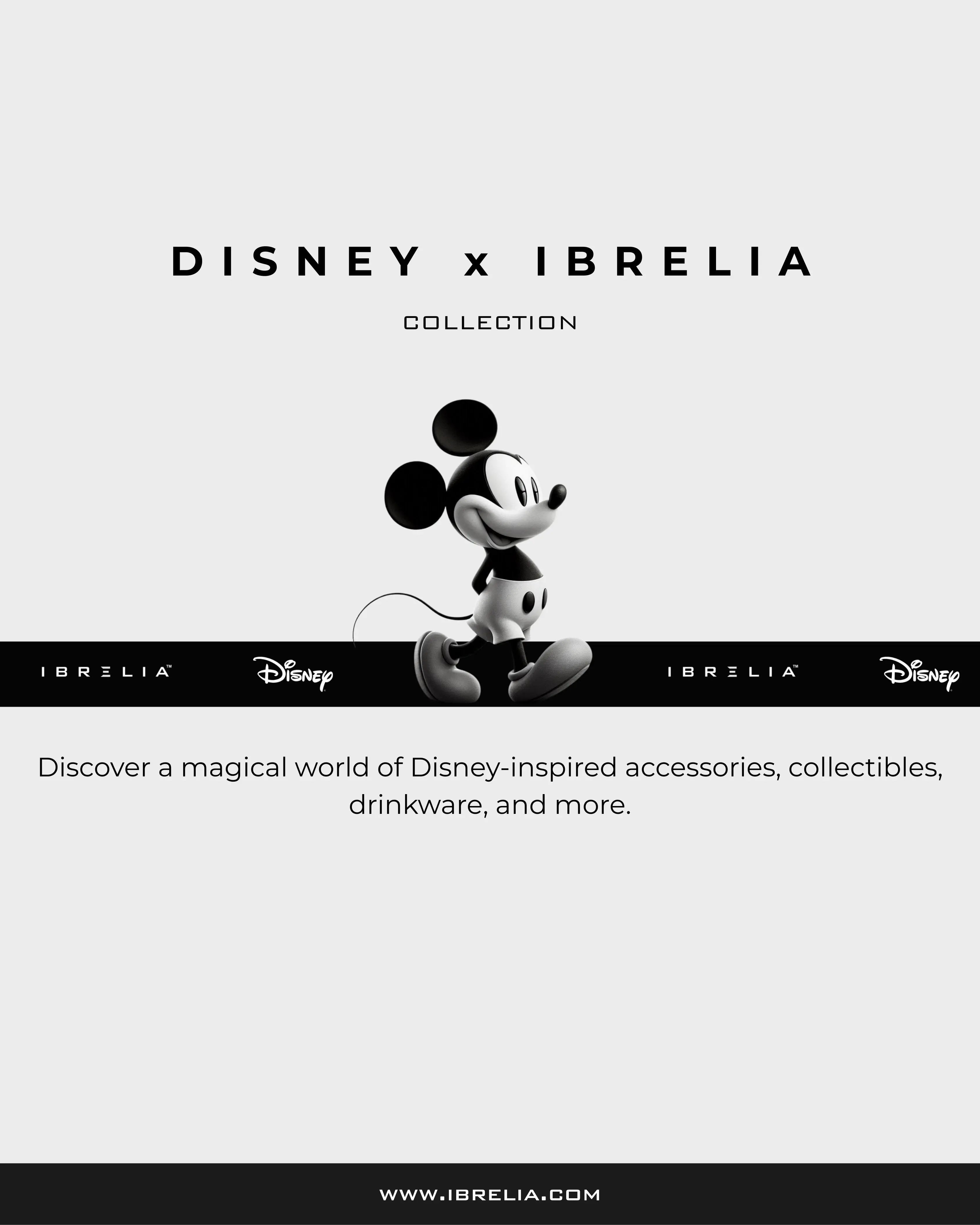 Disney Collection Pakistan | Collectibles & Gifts – IBRELIA™