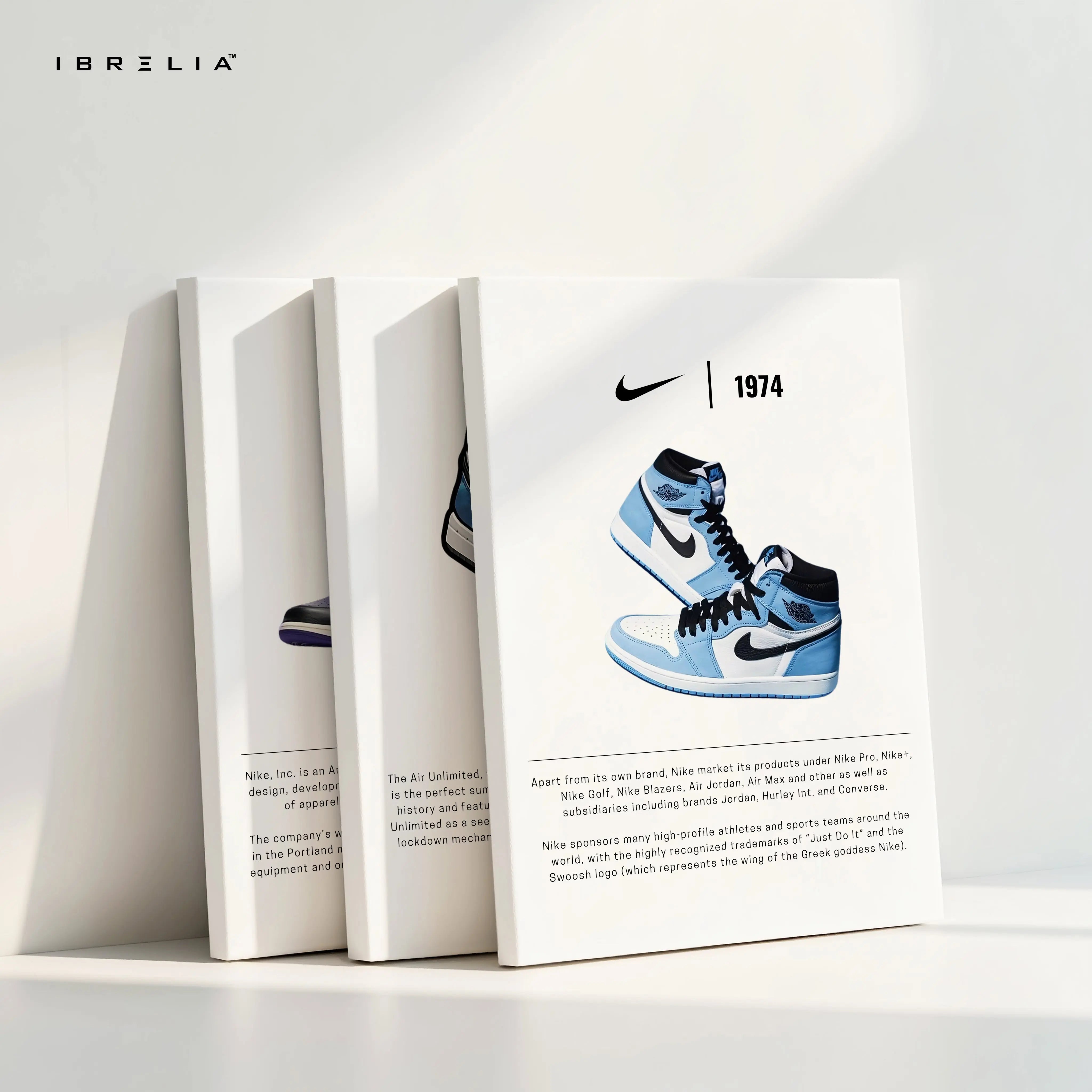 Nike Air Jordan Evolution 3 Panel Sneaker Wall Art in Pakistan | IBRELIA™ IBRELIA