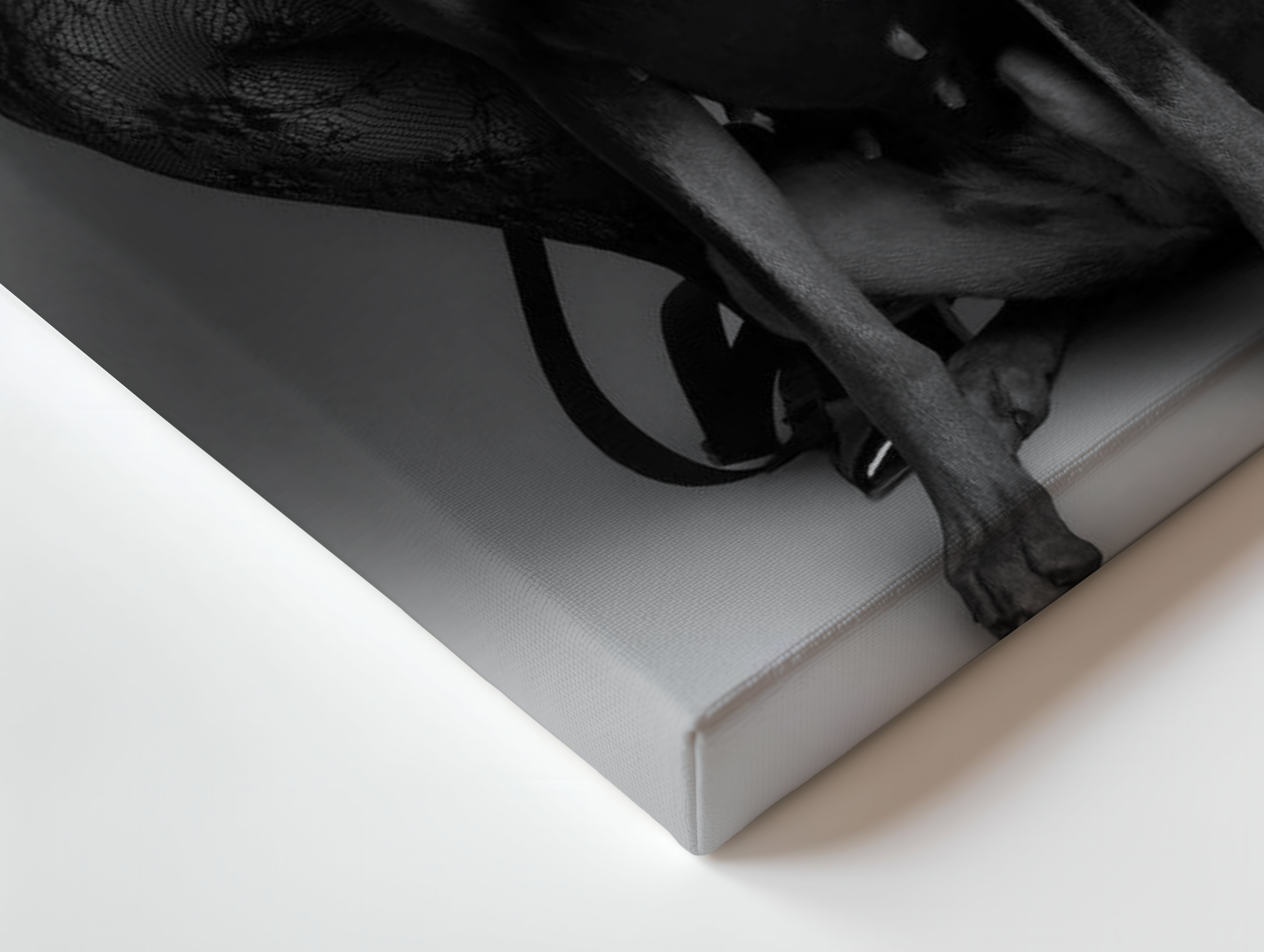 Elegant Doberman with Owner – Black & White Luxury 4K Ultra Wrap Frame Wall Art in Pakistan | IBRELIA™