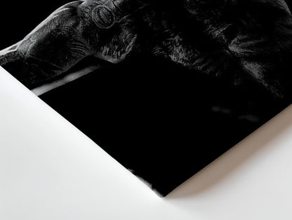 Charles do Bronx UFC Champion Portrait Art – 4K Ultra Wrap Frame Wall Art in Pakistan | IBRELIA™