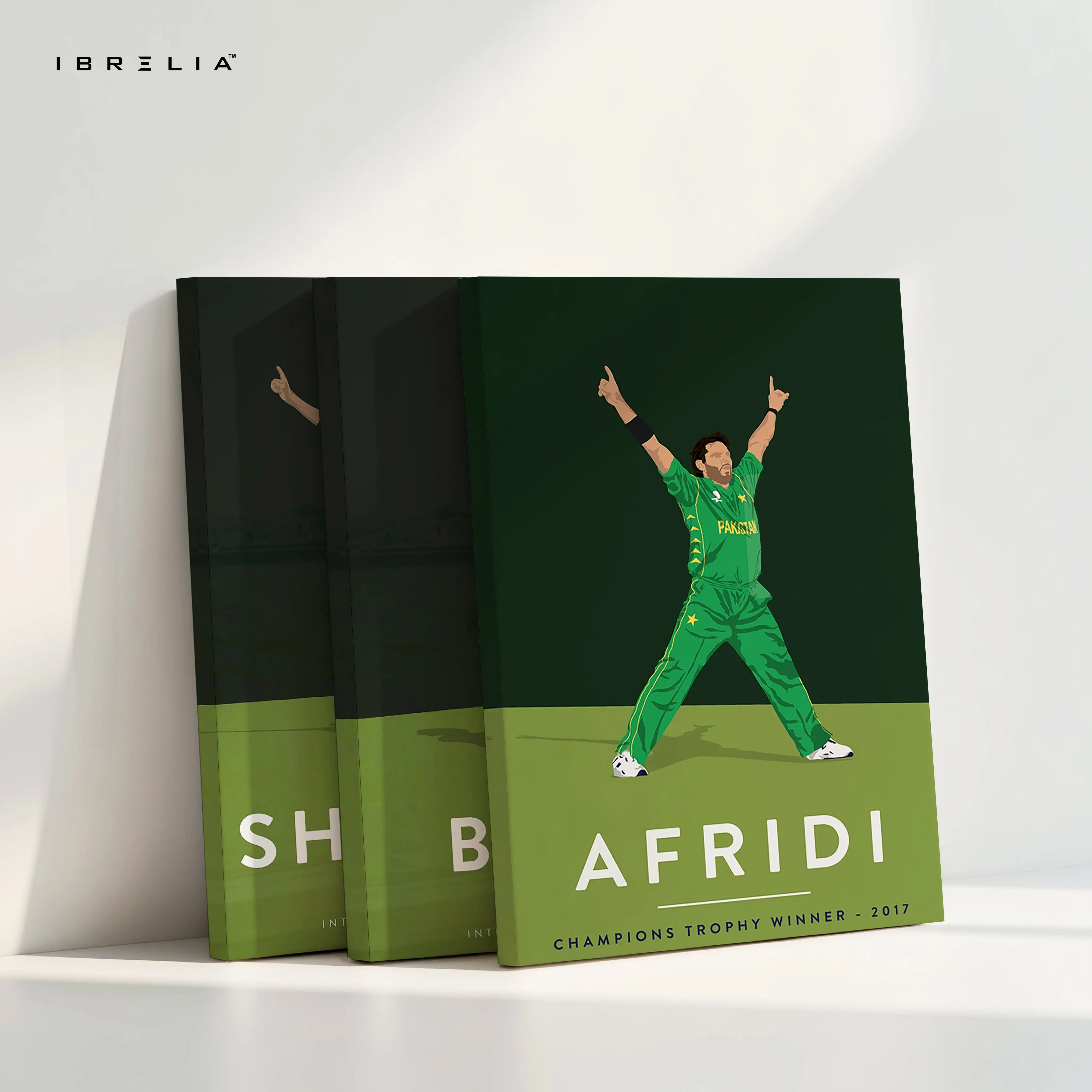 Pakistan Cricket Legends 3 Panel 4K Ultra HD Wall Art in Pakistan | IBRELIA™ IBRELIA