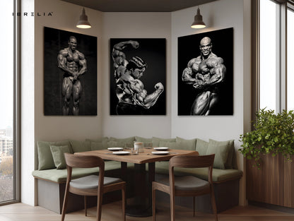 Bodybuilding Legends Power 3 Panel 4K Ultra HD Wall Art in Pakistan | IBRELIA™ IBRELIA