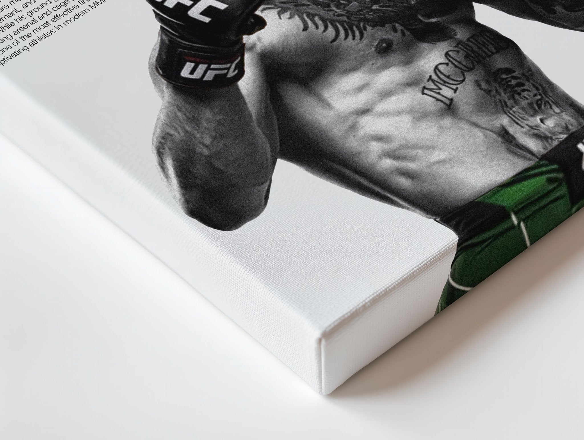 Conor McGregor “The Notorious” – 4K Ultra Wrap Frame Wall Art in Pakistan | IBRELIA™ - IBRELIA