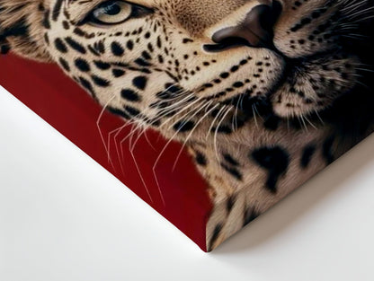 Royal Leopard King 4K Ultra HD Wall Art in Pakistan | IBRELIA™ - IBRELIA