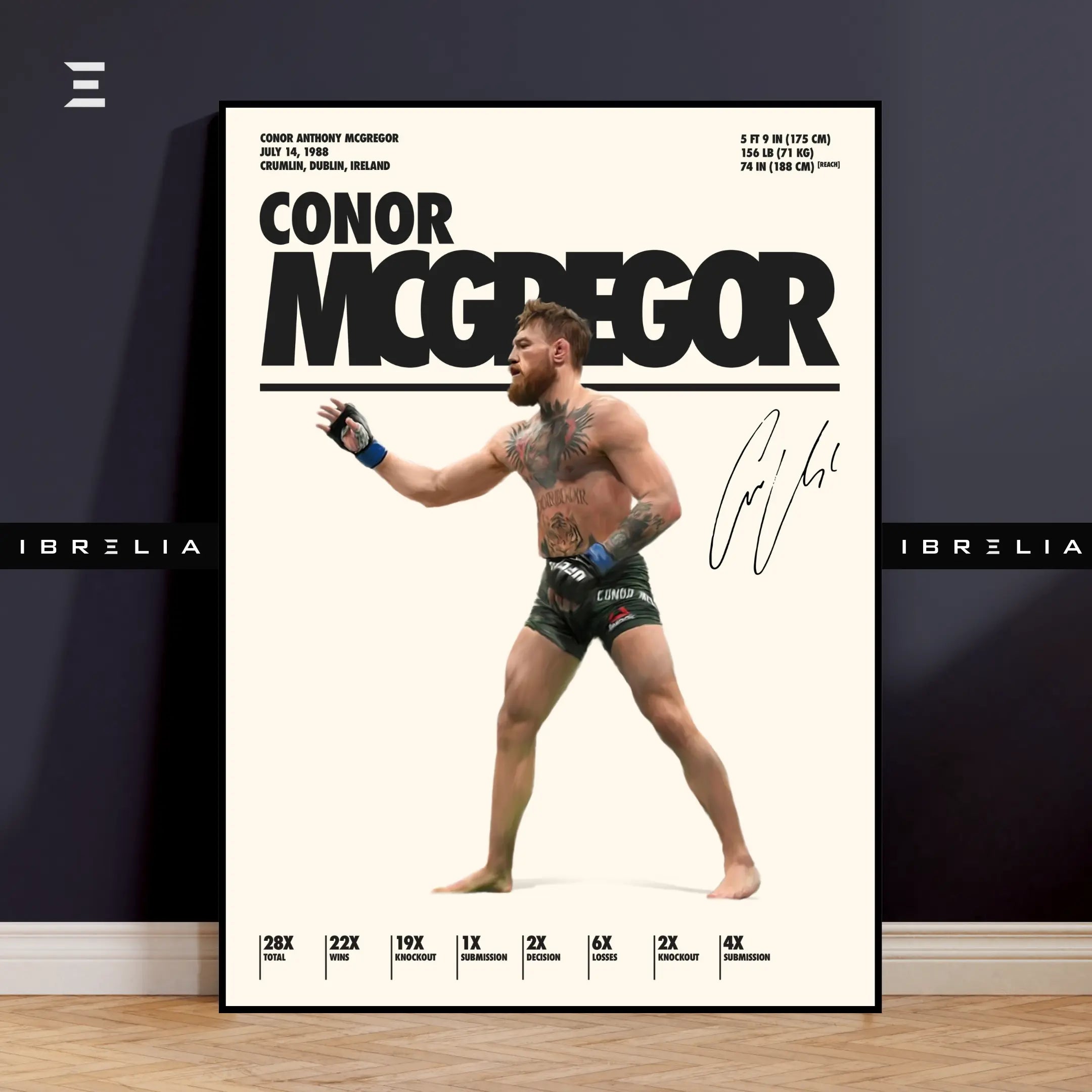 Conor McGregor Resin Wall Art – “The Notorious” Edition | IBRELIA IBRELIA