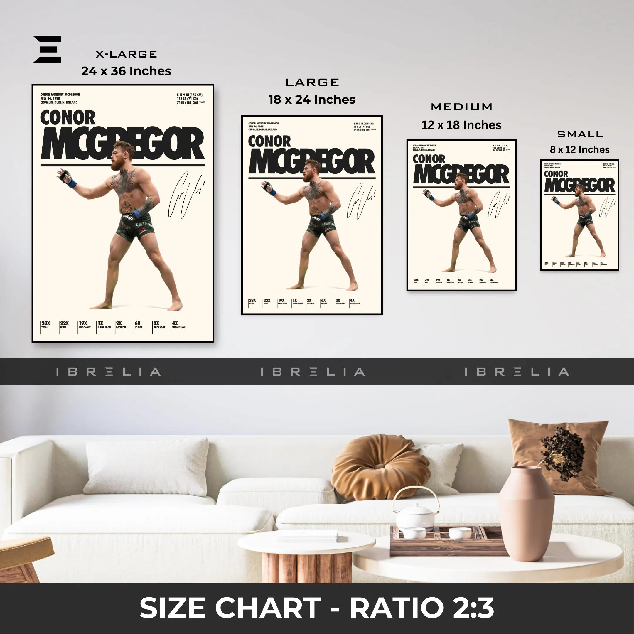 Conor McGregor Resin Wall Art – “The Notorious” Edition | IBRELIA IBRELIA