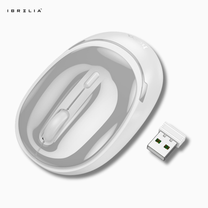 HOCO GM34 Wireless Business Mouse – Black / Grey | IBRELIA™