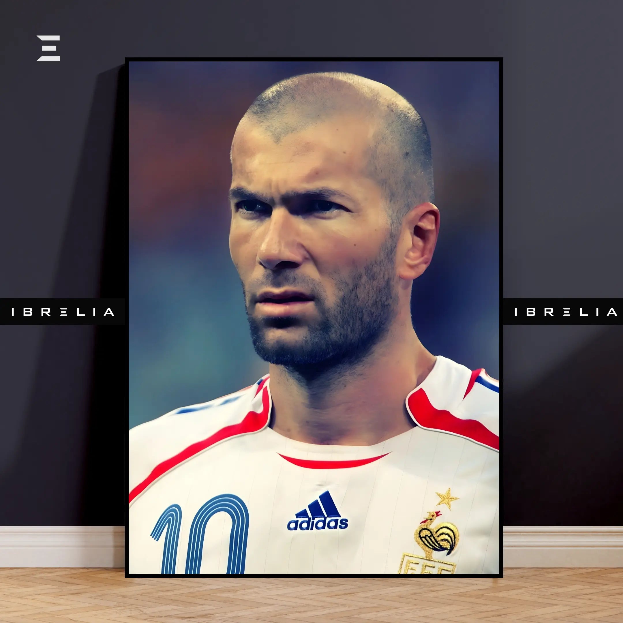 Zinedine Zidane Resin Wall Art | IBRELIA IBRELIA