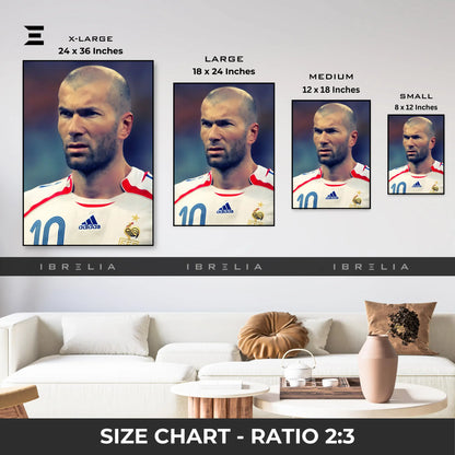 Zinedine Zidane Resin Wall Art | IBRELIA IBRELIA