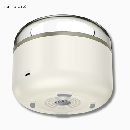 HOCO HX30 – 2-in-1 Ultra-Quiet Ultrasonic Aromatherapy Humidifier (Flame Effect | 160ml Tank) – HOCO | IBRELIA™